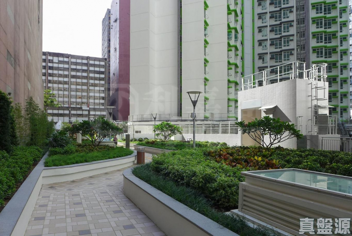 尚翠苑 B座 (翠河閣) - 28NTS – 香港北部都會區