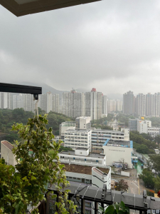 翠鳴臺 - 28NTS – 香港北部都會區