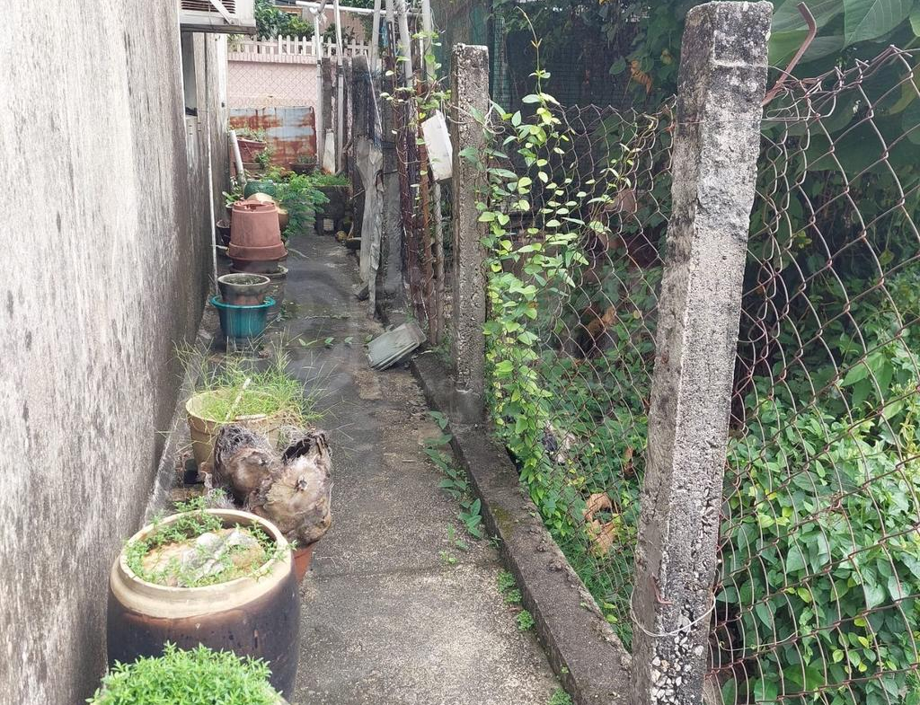 蔡屋村 - 28NTS – 香港北部都會區