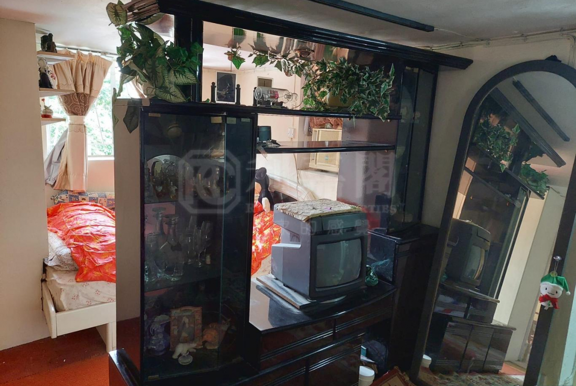 蔡屋村 - 28NTS – 香港北部都會區