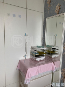 青俊苑 A座 (俊軒閣) - 28NTS – 香港北部都會區