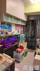 帝御 3期 帝御‧嵐天 6座 - 28NTS – 香港北部都會區