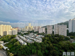 綠悠雅苑 1座 - 28NTS – 香港北部都會區