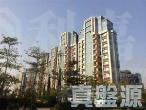 爾巒 茵羅洛斯大道 6A座 - 28NTS – 香港北部都會區
