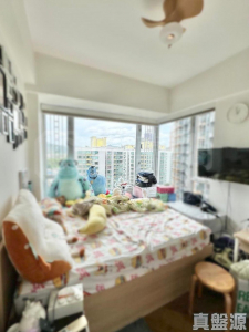 蝶翠峰 1期 1座 - 28NTS – 香港北部都會區