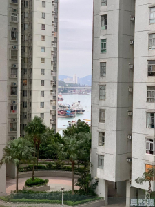 麗城花園 2期 6座 - 28NTS – 香港北部都會區