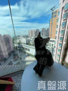 瑜翠園 7座 - 28NTS – 香港北部都會區
