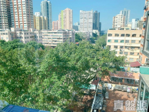 好旺洋樓 - 28NTS – 香港北部都會區