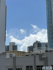尚翠苑 C座 (翠庭閣) - 28NTS – 香港北部都會區