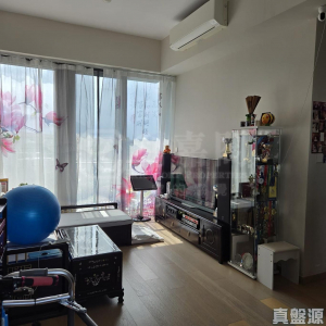 山水盈 6座 - 28NTS – 香港北部都會區