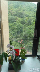 曉峰園 5座 - 28NTS – 香港北部都會區