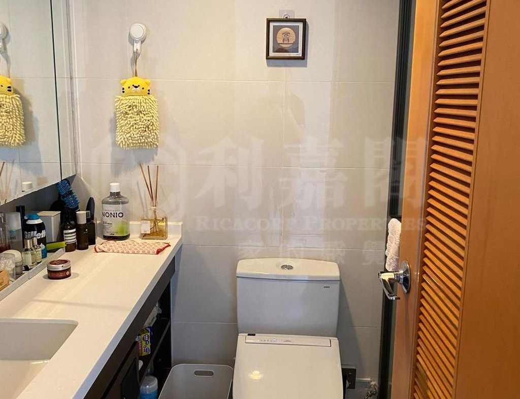 藍天海岸 4期 水藍‧天岸 3座 - 28NTS – 香港北部都會區