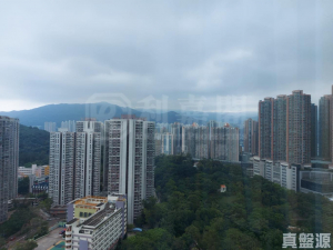 青怡花園 6座 - 28NTS – 香港北部都會區