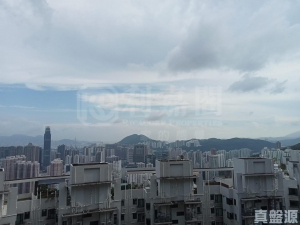 朗逸峰 1期 8座 - 28NTS – 香港北部都會區