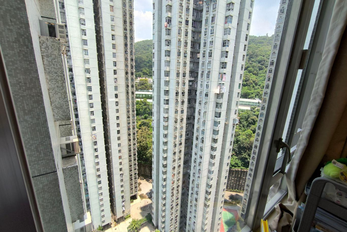 麗城花園 2期 1座 - 28NTS – 香港北部都會區