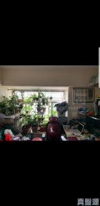 恆富大廈 - 28NTS – 香港北部都會區
