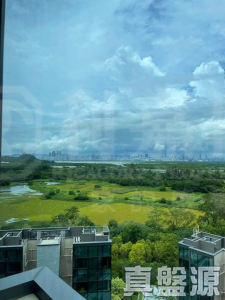 WETLAND SEASONS PARK 2期 12座 - 28NTS – 香港北部都會區