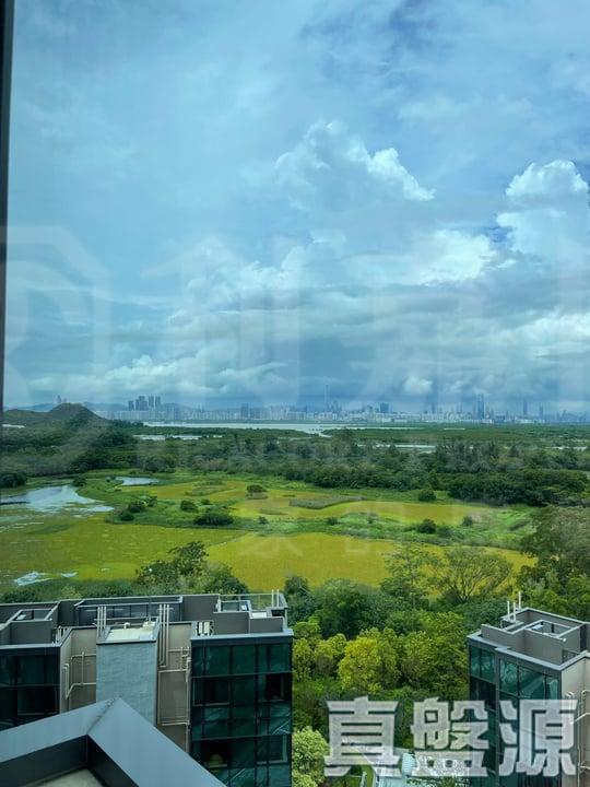 WETLAND SEASONS PARK 2期 12座 - 28NTS – 香港北部都會區