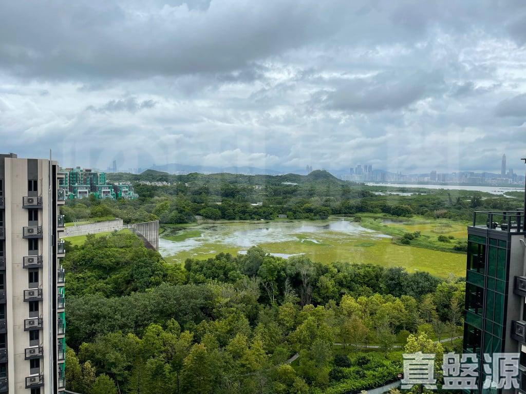 WETLAND SEASONS PARK 2期 12座 - 28NTS – 香港北部都會區