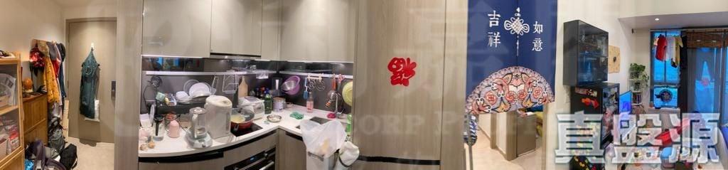 WETLAND SEASONS PARK 2期 19座 - 28NTS – 香港北部都會區