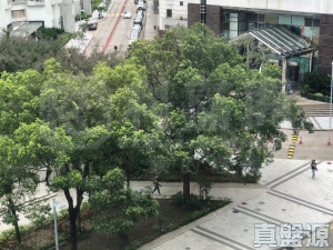嘉湖山莊 1期 樂湖居 6座 - 28NTS – 香港北部都會區