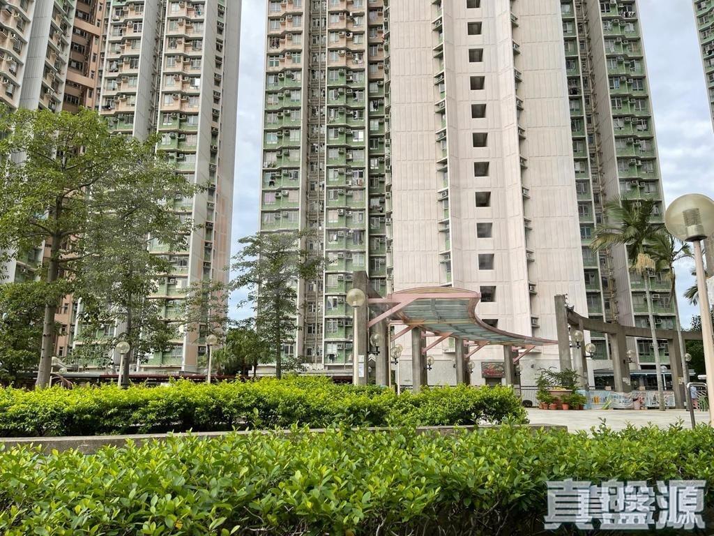 天麗苑 - 28NTS – 香港北部都會區