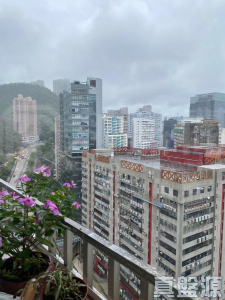 葵星中心 B座 - 28NTS – 香港北部都會區