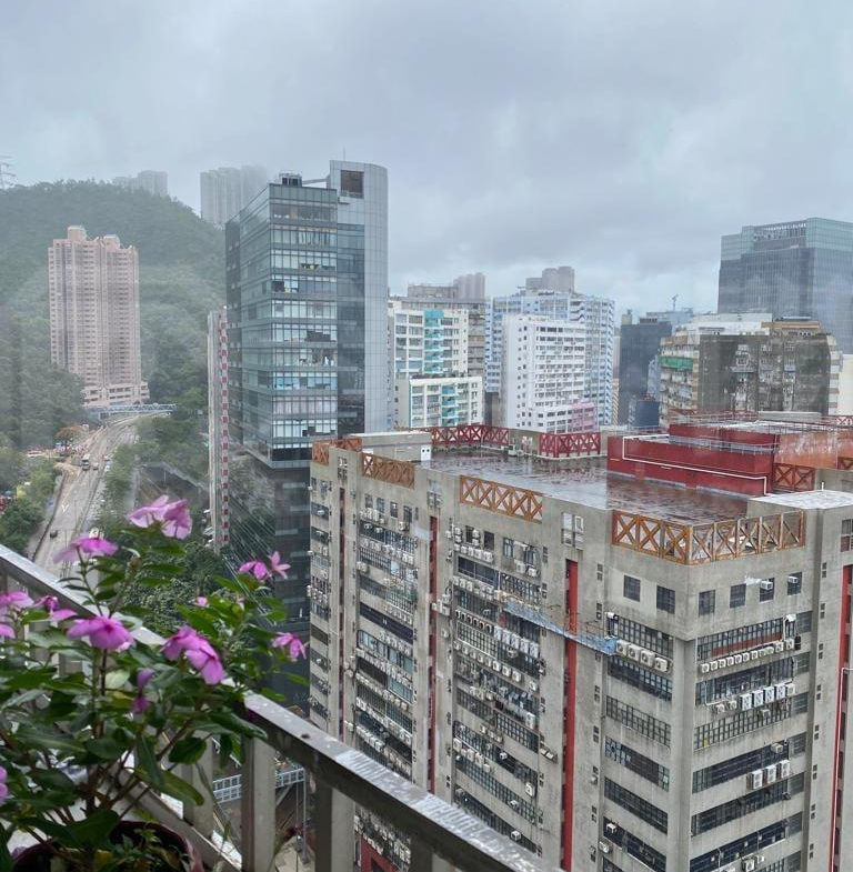 葵星中心 B座 - 28NTS – 香港北部都會區