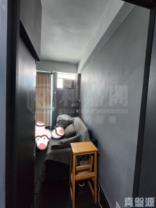 龍珠島別墅 F2座 - 28NTS – 香港北部都會區