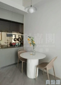 帝御 2期 帝御‧星濤 2座 - 28NTS – 香港北部都會區