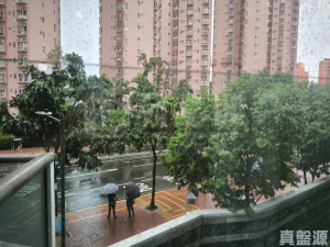 帝御 2期 帝御‧星濤 2座 - 28NTS – 香港北部都會區