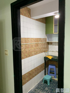 好順利大廈 2座 - 28NTS – 香港北部都會區