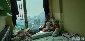 環宇海灣 2座 - 28NTS – 香港北部都會區