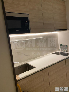 豐寓 - 28NTS – 香港北部都會區