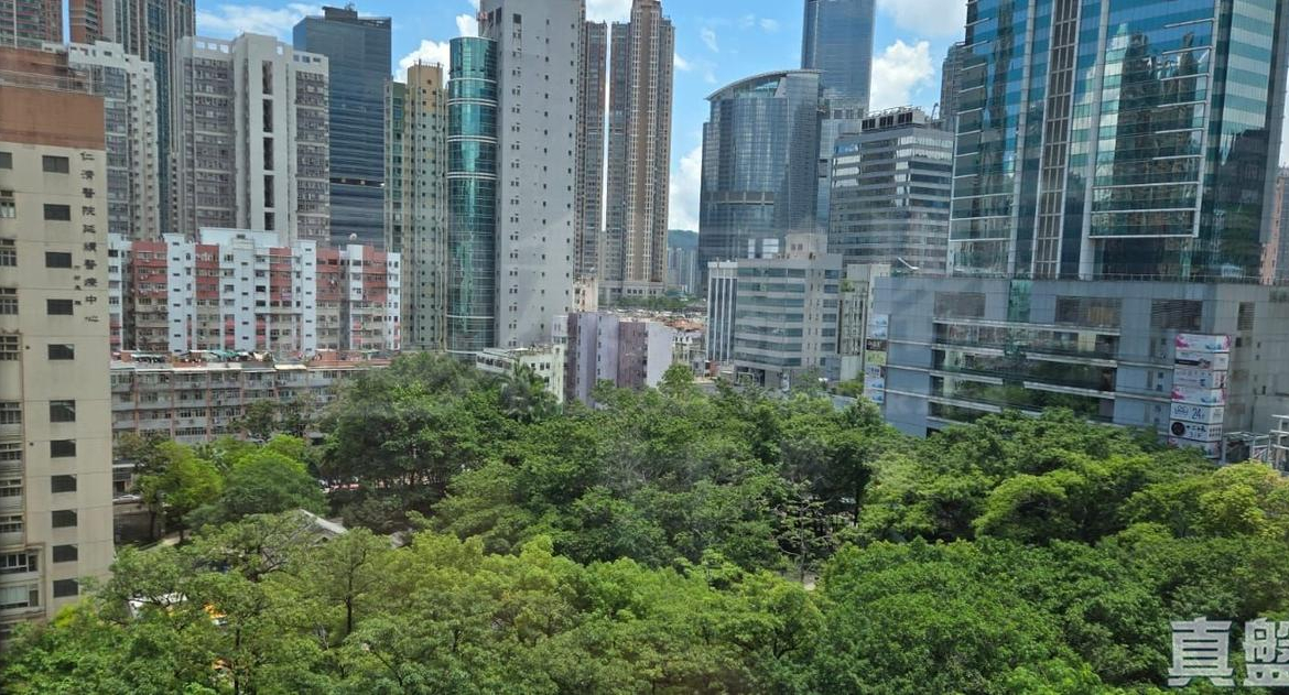 紅棉大廈 - 28NTS – 香港北部都會區