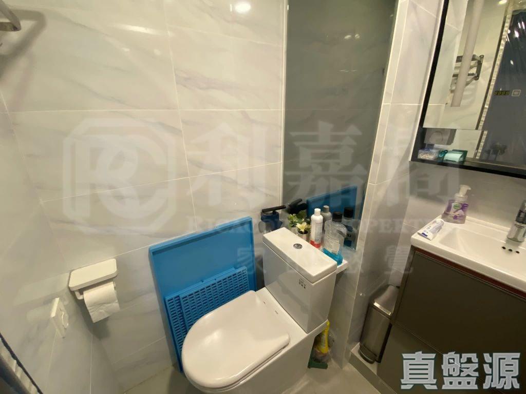 倚嶺南庭 - 28NTS – 香港北部都會區