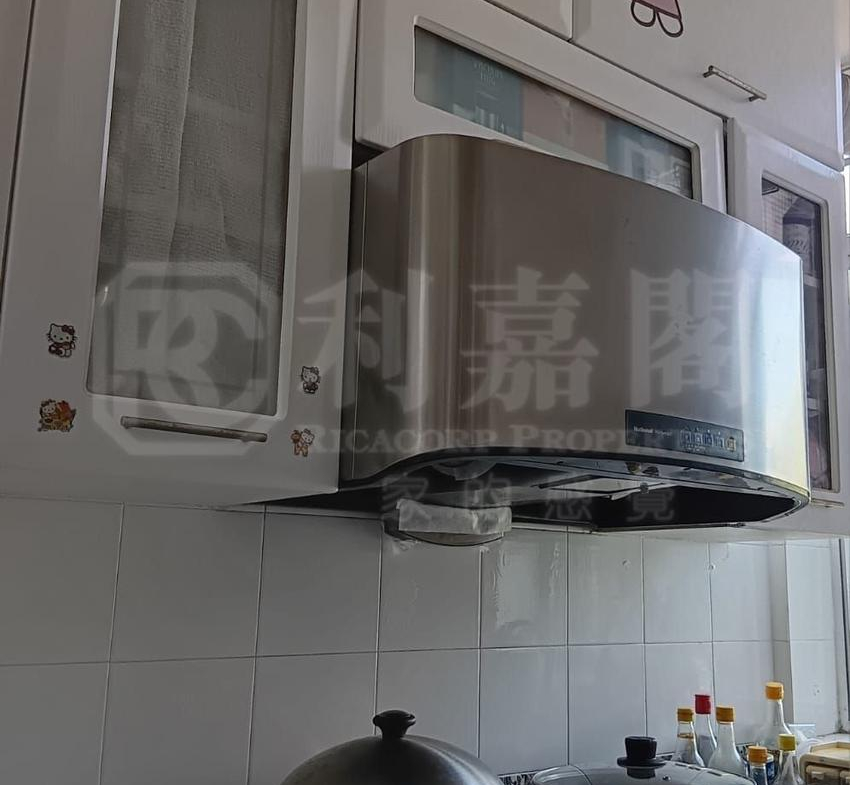 愉景新城 2期 6座 - 28NTS – 香港北部都會區