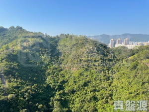 美景花園 9座 - 28NTS – 香港北部都會區