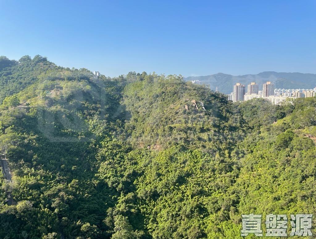 美景花園 9座 - 28NTS – 香港北部都會區