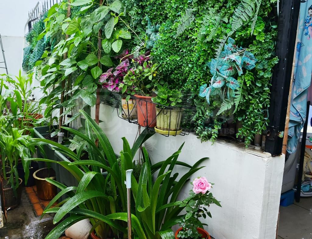 金碧花園 10座 - 28NTS – 香港北部都會區
