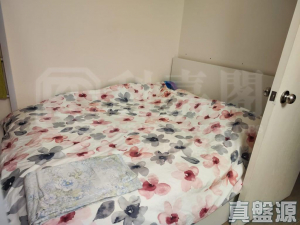 金碧花園 10座 - 28NTS – 香港北部都會區