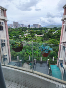 金碧花園 10座 - 28NTS – 香港北部都會區