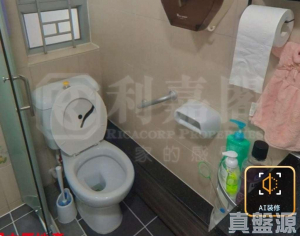 尚翠苑 B座 (翠河閣) - 28NTS – 香港北部都會區