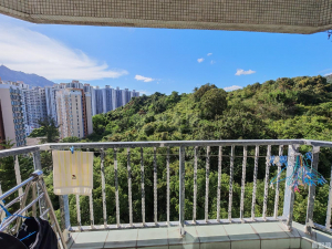 容龍居 4座 - 28NTS – 香港北部都會區