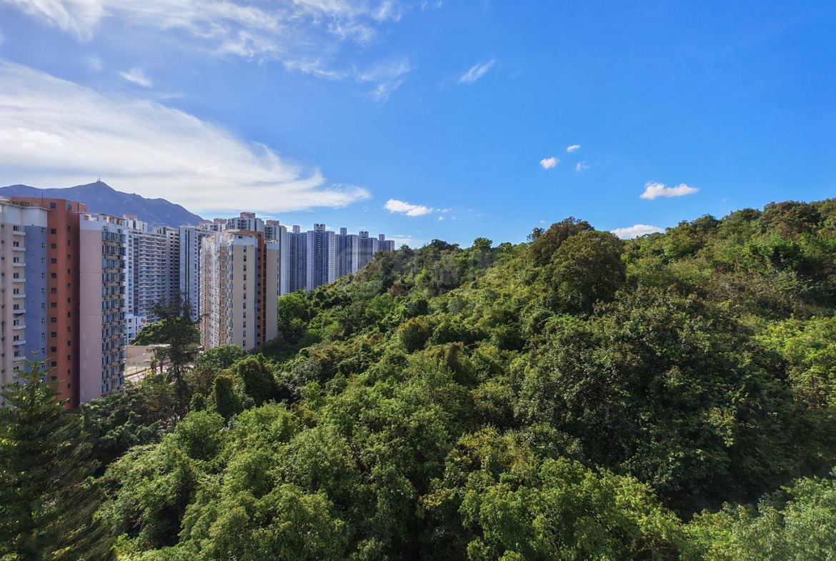 容龍居 4座 - 28NTS – 香港北部都會區