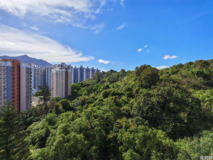 容龍居 4座 - 28NTS – 香港北部都會區