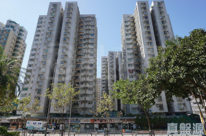 彩華花園 B座 - 28NTS – 香港北部都會區
