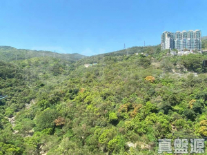 荃灣中心 南寧樓 (16座) - 28NTS – 香港北部都會區