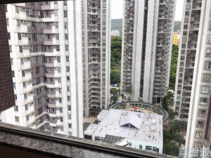 偉景花園 1座 - 28NTS – 香港北部都會區
