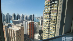 樂悠居 - 28NTS – 香港北部都會區